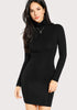 Turtle Neck Sheath Dress